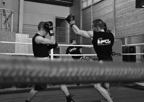 boks-ljubljana-trening-predstavitev