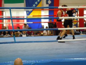 fcl-boks-kikboks-mma13