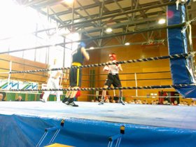 Državno prvenstvo v boksu 2010