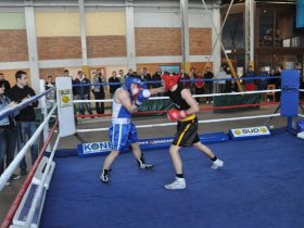 Boksarska liga Ljubljana 2013