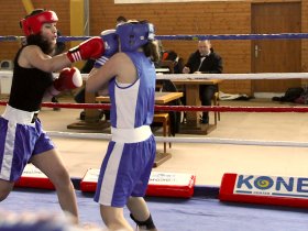 Boksarska liga Ljubljana 2013