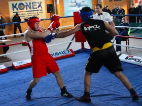 Boksarska liga Ljubljana 2013