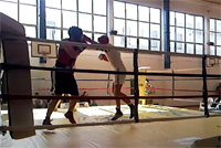 boksarska-liga-koper