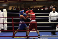 www-simon-vs-zaur