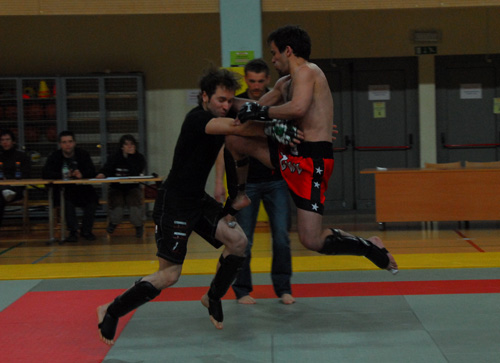 mma-liga-ljubljana-pan