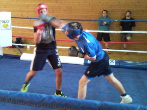 javni-sparing-boks-ljubljana-500