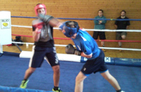 javni-sparing-boks-ljubljana