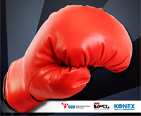 boks-liga-ljubljana-200