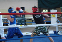 boks-ljubljana-druga-liga