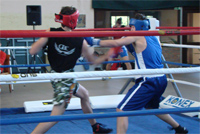 boksarska-liga-ljubljana-sentvid