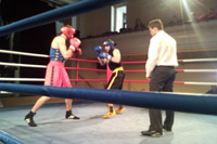 boks-ljubljana-tekma-prva-liga