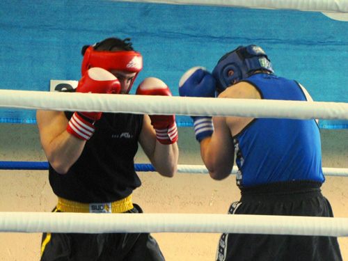 boks-ljubljana-prva-liga-davor