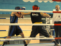 boks-ljubljana-prva-liga