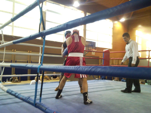 1-slovenska-boksarka-liga-domen-