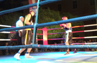 boksarski-pokal-radia-rogle