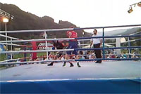 boks-pokal-radia-rogle-200