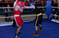 pokalno-prvenstvo-slovenije-boks-200