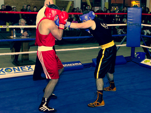 pokalno-prvenstvo-slovenije-boks-domen