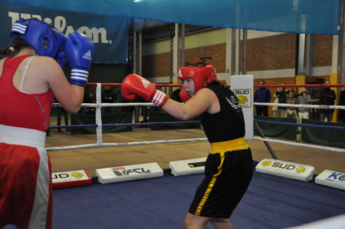 pokalno-prvenstvo-slovenije-boks-katarina