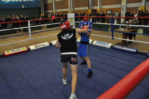 pokalno-prvenstvo-slovenije-boks-teja