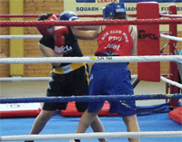 boksarska-revija-shark