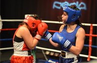 super-pokal-boks-perla