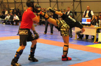 finale-kickboxing-brezice