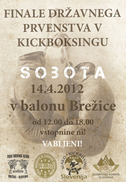 plakat-kickboxing-brezice-500