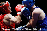 boks-pokal-radia-rogle