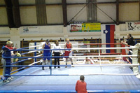 zlati-grb-slovenske-bistrice-200