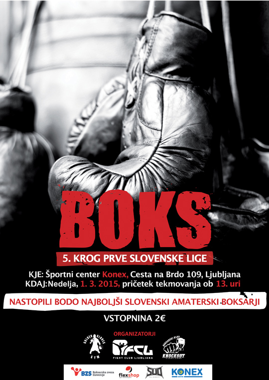 boks plakat liga 2015b-540