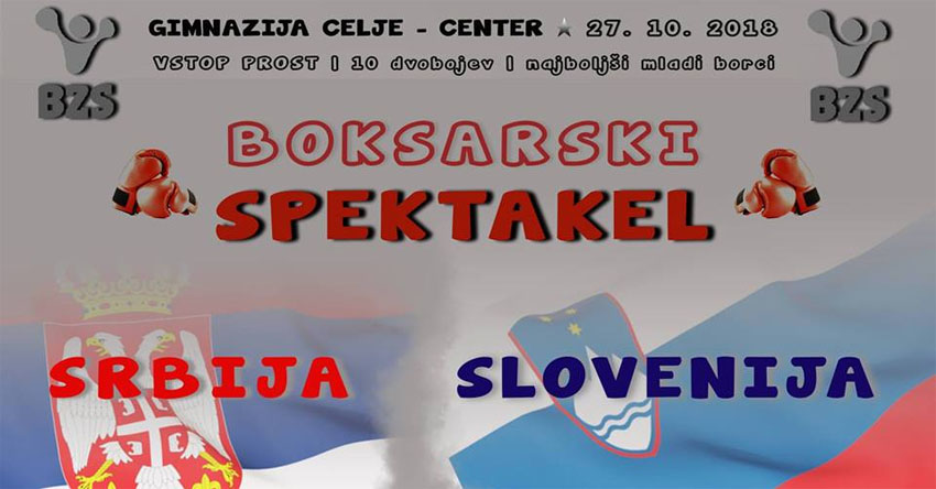 boks-tekma-slovenija-srbija-celje