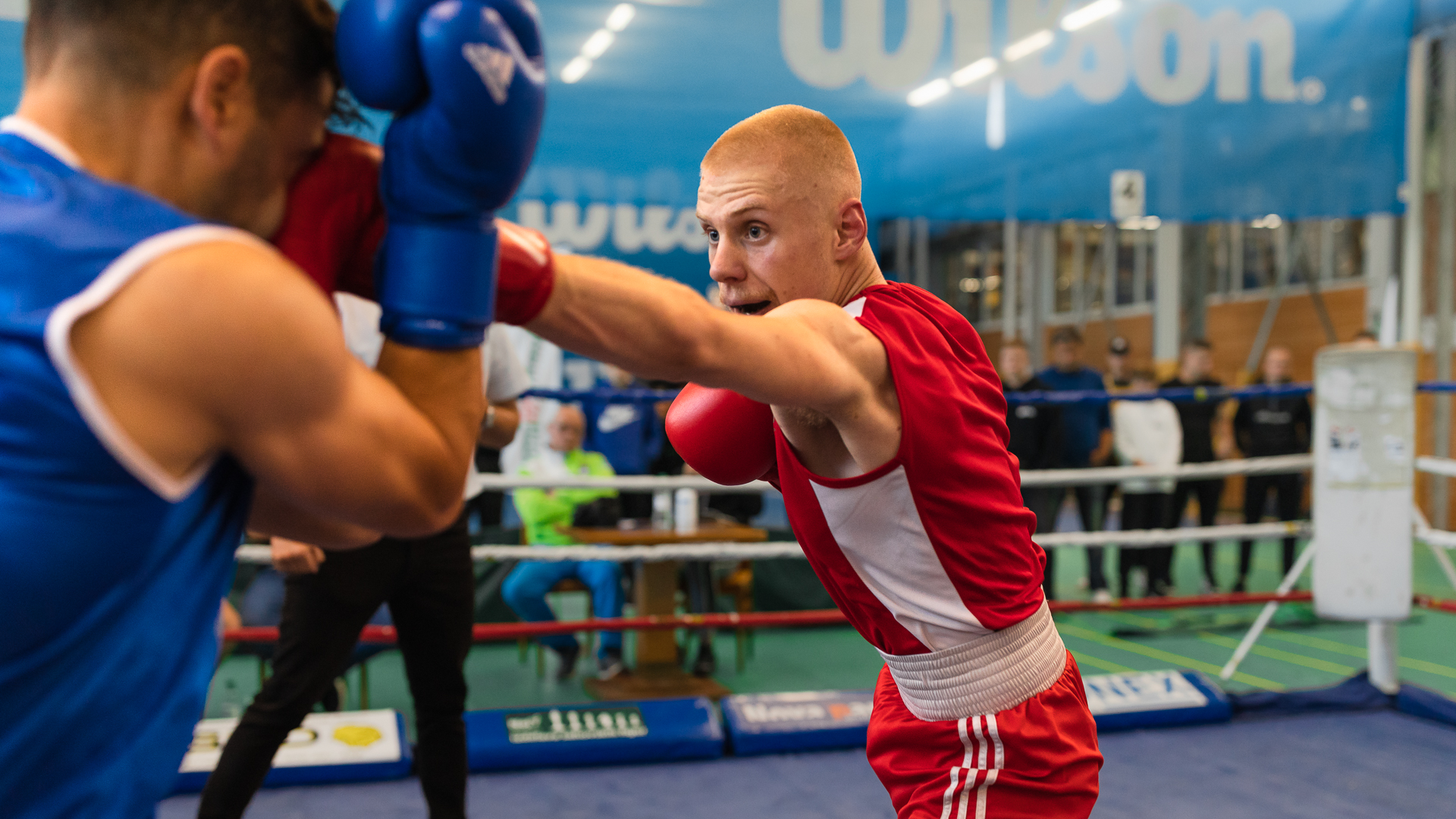 Dan boksa in mednarodna boksarska revija v Ljubljani